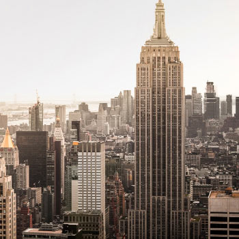 Economists' view of the world