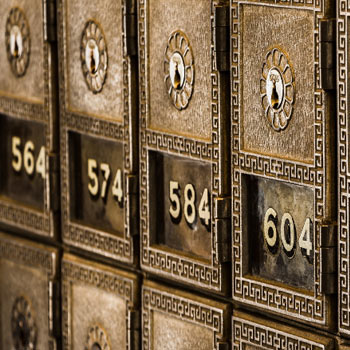 MIPS Bank Bond Investment Program